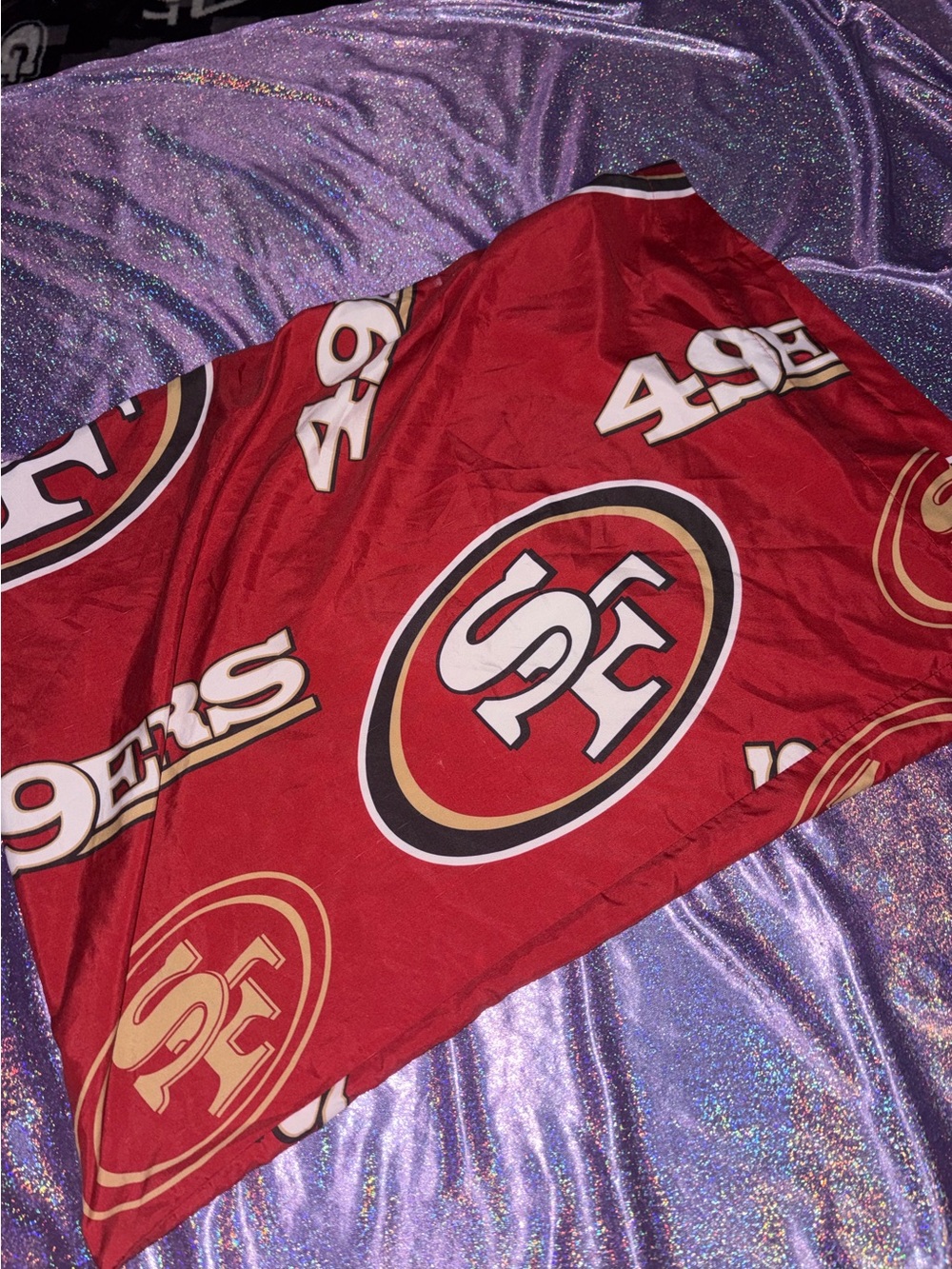 San Francisco 49ers Standard Pillow Cases